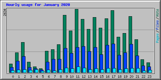 Hourly usage for January 2020